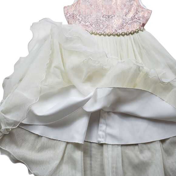 American Princess Jacquard Dress Girls Size 10 Ball Gown Pearl Tiered Tulle - Picture 6 of 9